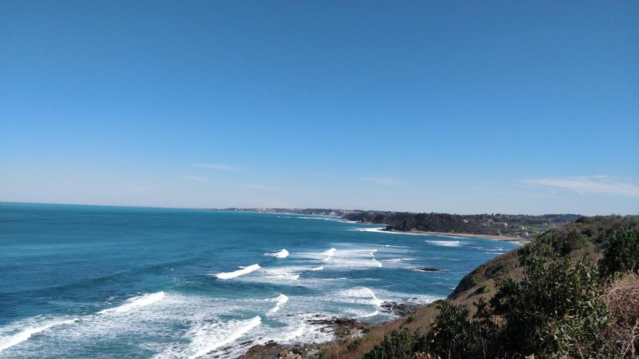 T1 Ou T2 Dans Villa Avec Jardin Proche Biarritz Anglet Exterior photo