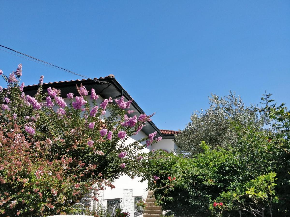T1 Ou T2 Dans Villa Avec Jardin Proche Biarritz Anglet Exterior photo